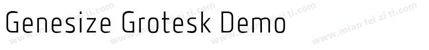 Genesize Grotesk Demo字体转换
